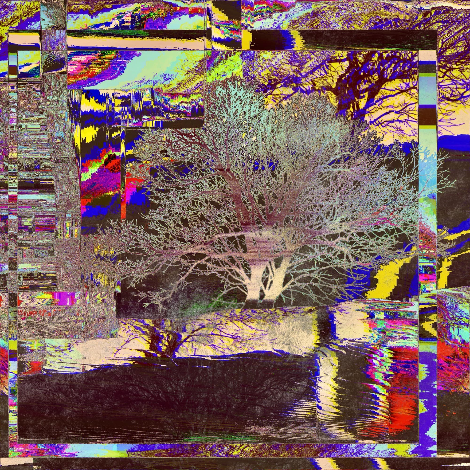 fip.011