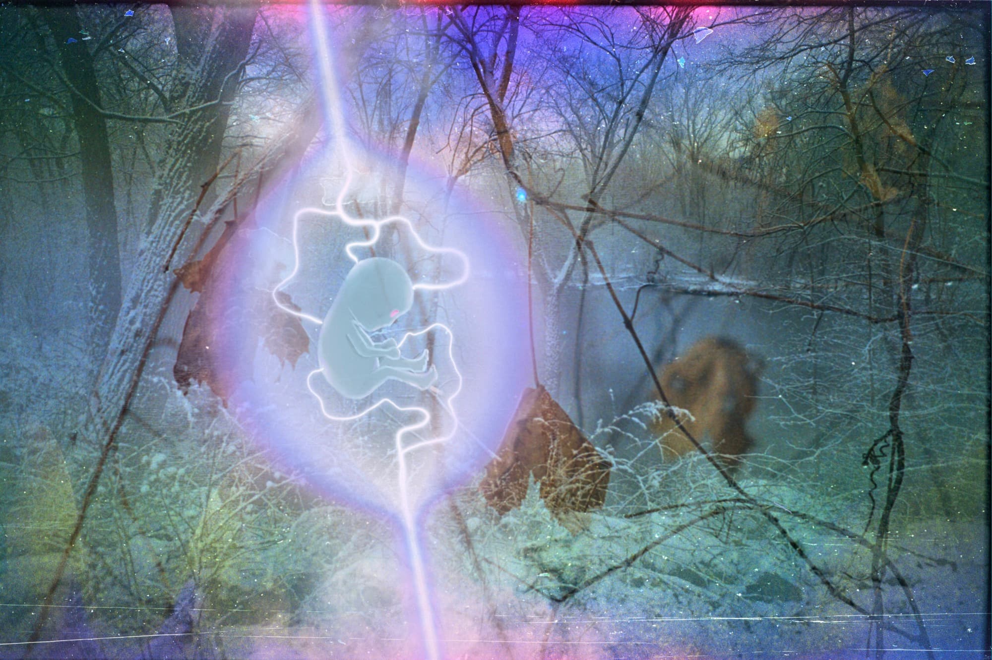 The Illuminates
